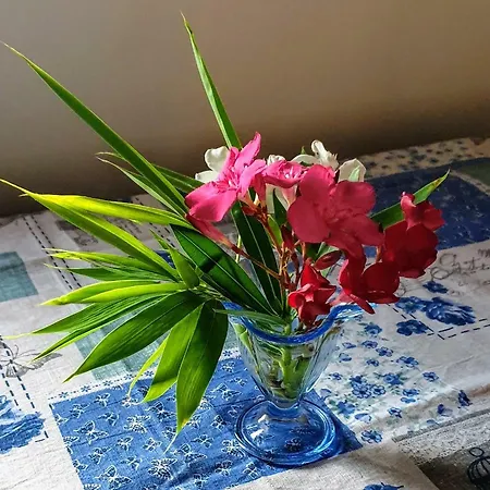 Appartement Farm House Castelmontioni *